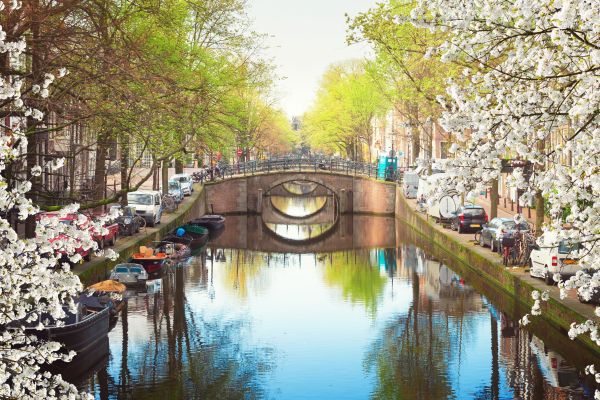 Amsterdam wiosną. Fot. Shutterstock