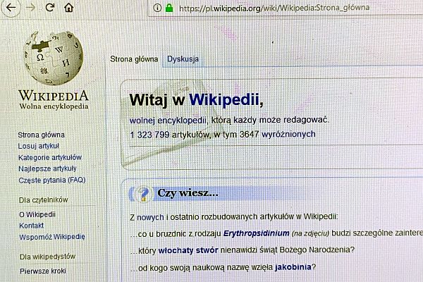 Fot. Polska strona portalu Wikipedia.ORG
