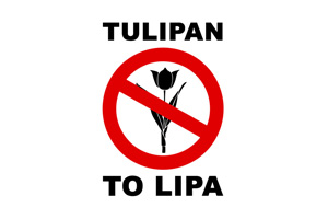 Akcja Tulipan to lipa