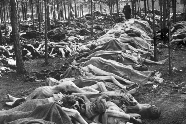 niemiecki Obóz Koncentracyjny; fot. Everett Collection / Shutterstock.com