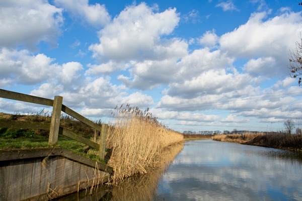 Nature reserve Hooilanden in Binnenveld near Wageningen in the Netherlands // Fot. Shutterstock, Inc.